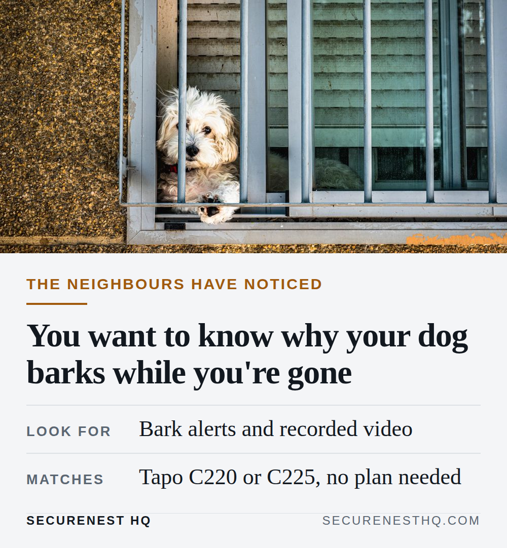 A fluffy dog peeks through window bars, creating a charming and curious scene. Overlaid text reads “The neighbours have noticed. You want to know why your dog barks while you're gone. Look for: Bark alerts and recorded video. Matches: Tapo C220 or C225, no plan needed.” — Secure Nest HQ