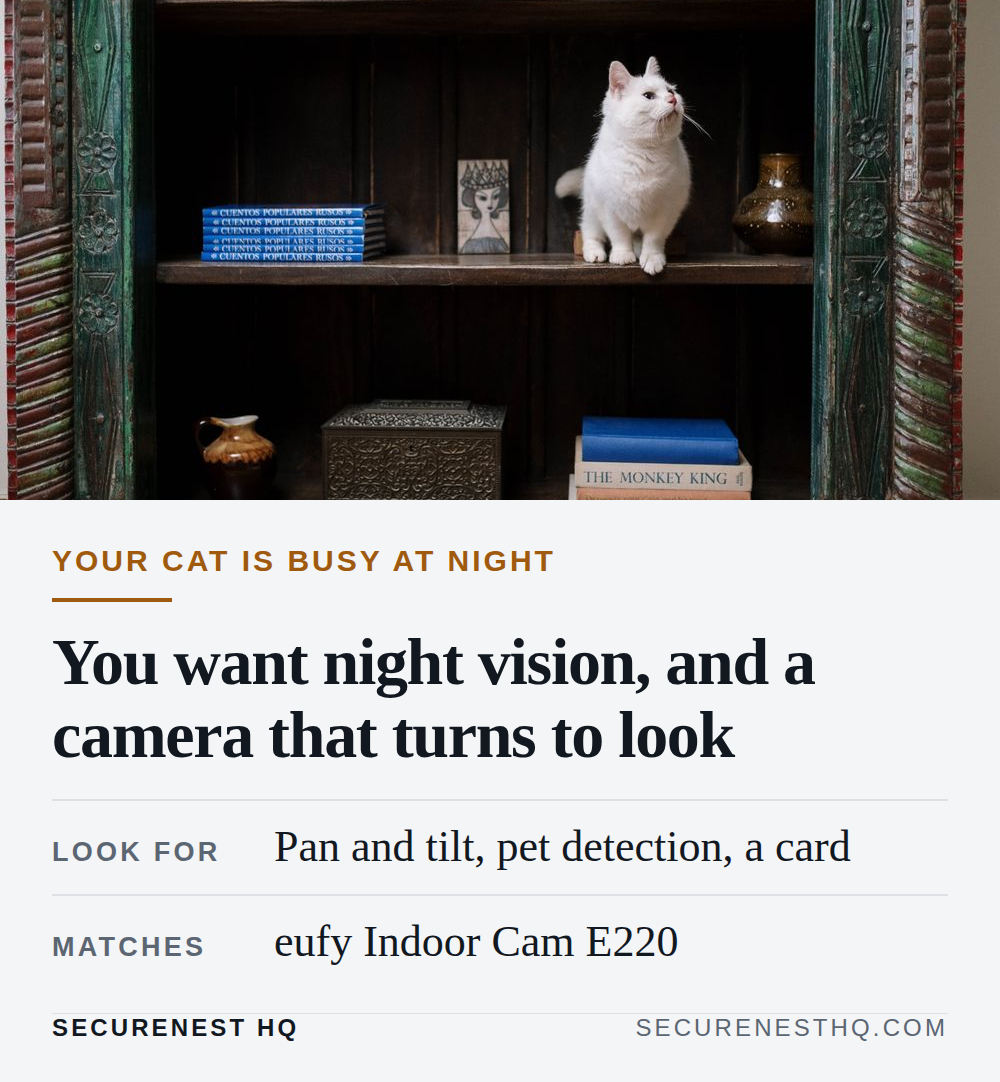 Adorable white cat curiously exploring a vintage bookshelf in a cozy home interior. Overlaid text reads “Your cat is busy at night. You want night vision, and a camera that turns to look. Look for: Pan and tilt, pet detection, a card. Matches: eufy Indoor Cam E220.” — Secure Nest HQ