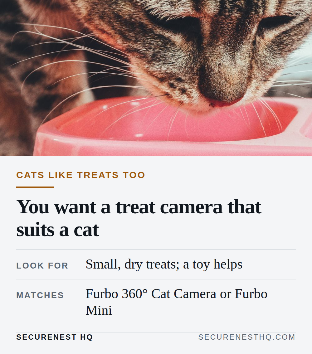 A cute tabby cat enjoys a meal from a pink bowl. Perfect for pet lovers. Overlaid text reads “Cats like treats too. You want a treat camera that suits a cat. Look for: Small, dry treats; a toy helps. Matches: Furbo 360° Cat Camera or Furbo Mini.” — Secure Nest HQ