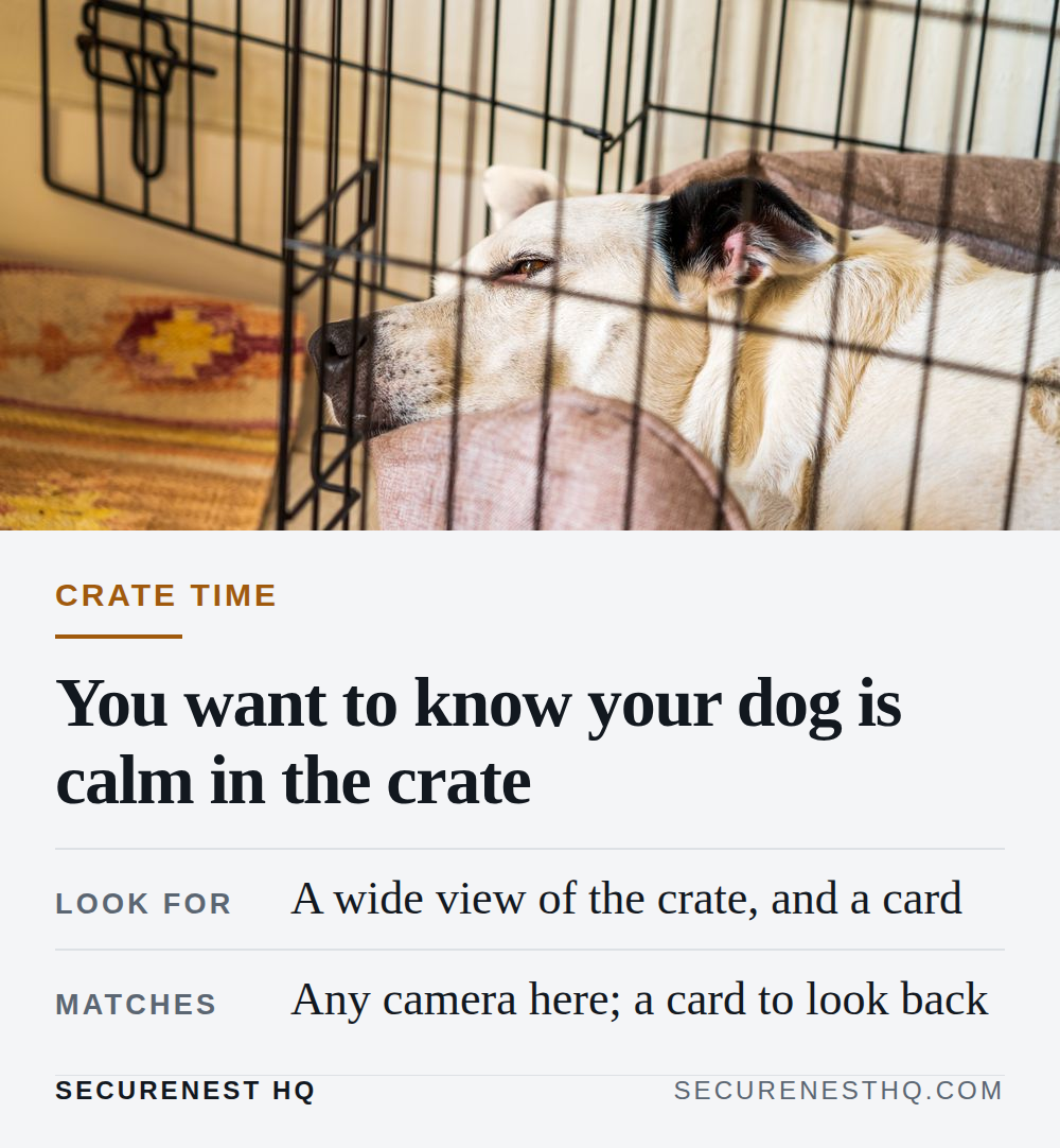 A calm dog rests comfortably inside a cozy kennel, radiating warmth and safety. Overlaid text reads “Crate time. You want to know your dog is calm in the crate. Look for: A wide view of the crate, and a card. Matches: Any camera here; a card to look back.” — Secure Nest HQ