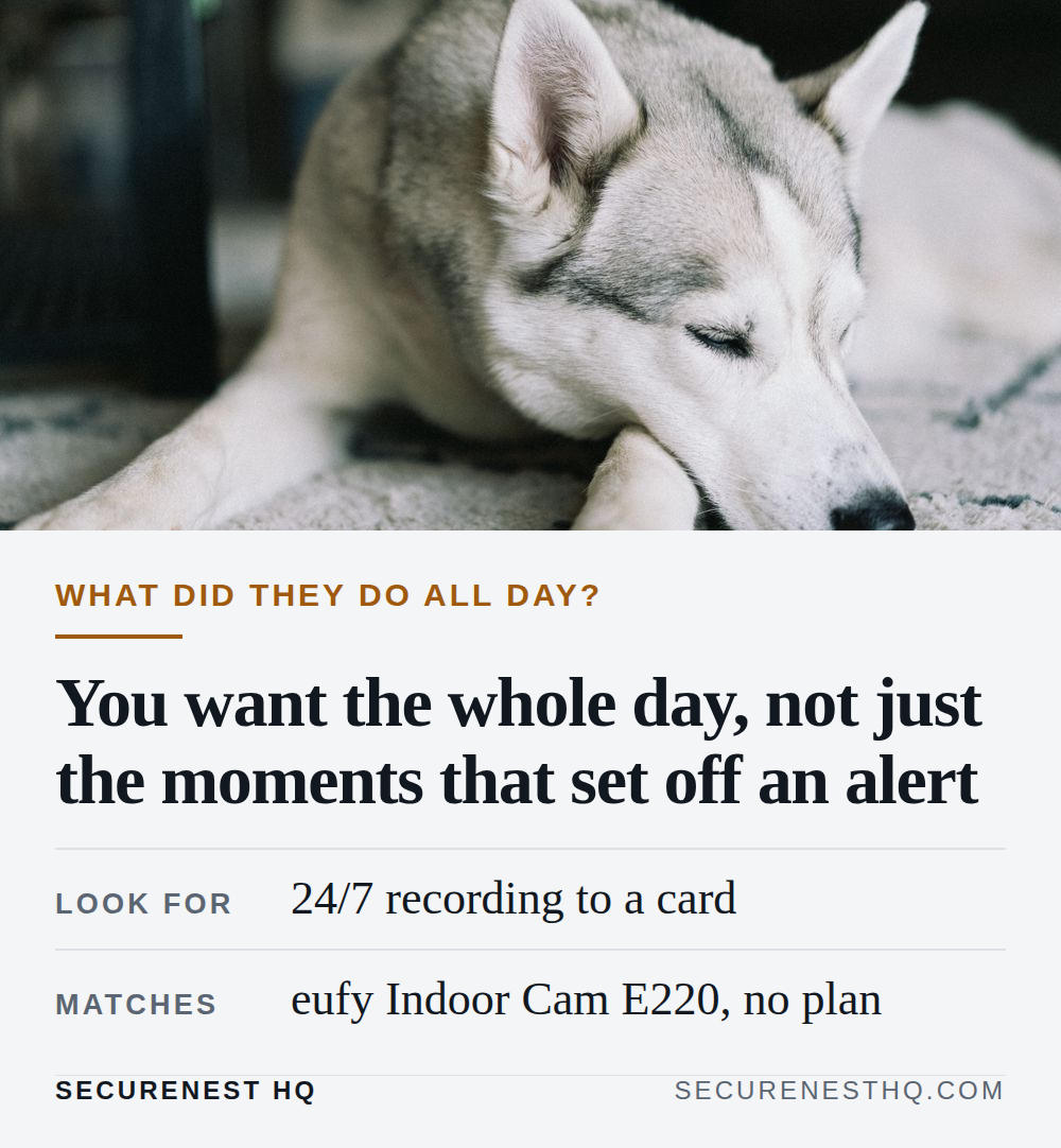 A serene Siberian Husky sleeping peacefully on a rug indoors. Overlaid text reads “What did they do all day?. You want the whole day, not just the moments that set off an alert. Look for: 24/7 recording to a card. Matches: eufy Indoor Cam E220, no plan.” — Secure Nest HQ