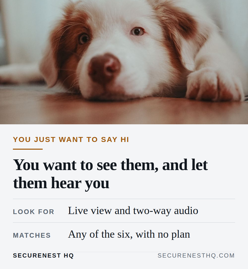 Charming Border Collie puppy relaxing on the floor, perfect for pet lovers. Overlaid text reads “You just want to say hi. You want to see them, and let them hear you. Look for: Live view and two-way audio. Matches: Any of the six, with no plan.” — Secure Nest HQ