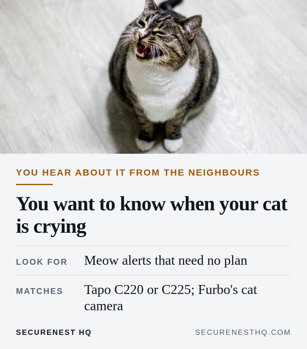 Close-up of a tabby cat with white chest meowing on a wooden floor indoors. Overlaid text reads “You hear about it from the neighbours. You want to know when your cat is crying. Look for: Meow alerts that need no plan. Matches: Tapo C220 or C225; Furbo's cat camera.” — Secure Nest HQ