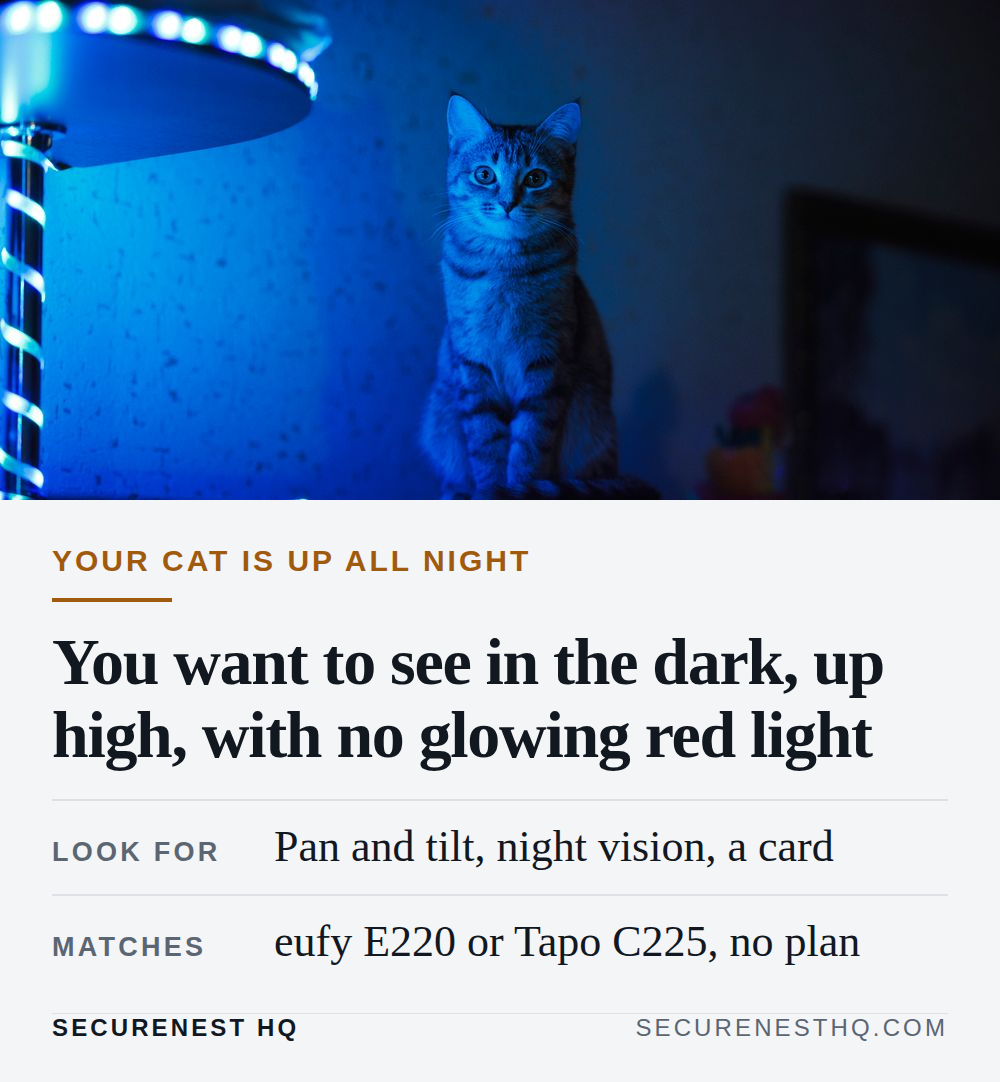 A cat sits attentively on a shelf illuminated by blue LED lighting indoors. Overlaid text reads “Your cat is up all night. You want to see in the dark, up high, with no glowing red light. Look for: Pan and tilt, night vision, a card. Matches: eufy E220 or Tapo C225, no plan.” — Secure Nest HQ