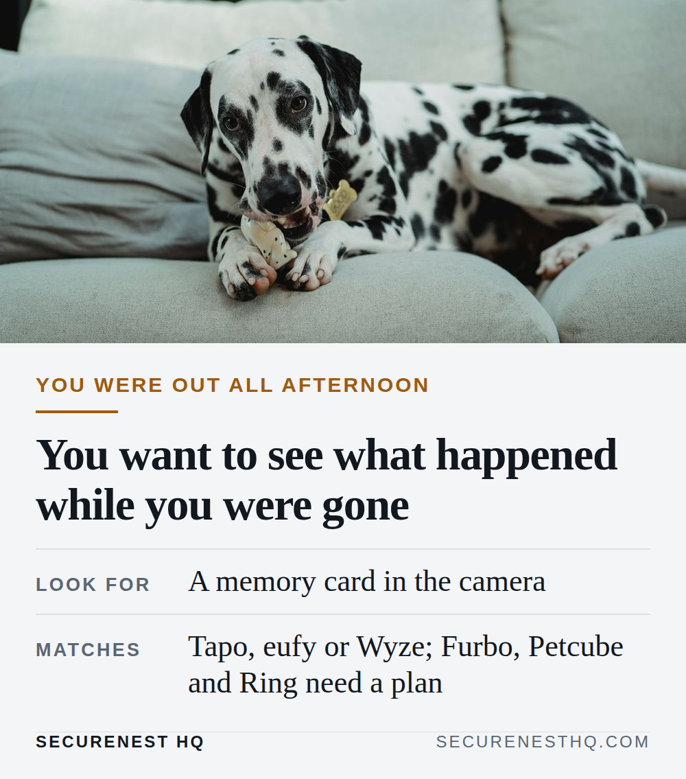 A Dalmatian dog lying on a sofa chewing a toy bone indoors. Overlaid text reads “You were out all afternoon. You want to see what happened while you were gone. Look for: A memory card in the camera. Matches: Tapo, eufy or Wyze; Furbo, Petcube and Ring need a plan.” — Secure Nest HQ