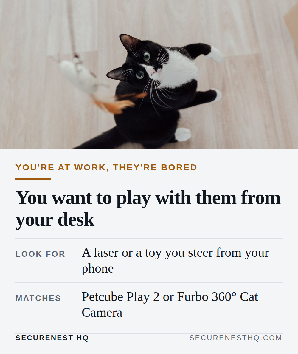 Adorable black and white cat playing with a feather toy on a wooden floor. Overlaid text reads “You're at work, they're bored. You want to play with them from your desk. Look for: A laser or a toy you steer from your phone. Matches: Petcube Play 2 or Furbo 360° Cat Camera.” — Secure Nest HQ