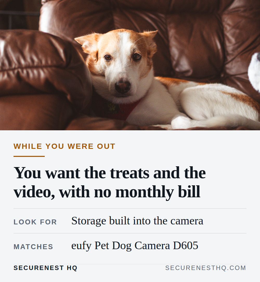 Cute dog lying comfortably on a brown leather couch, exuding warmth and relaxation. Overlaid text reads “While you were out. You want the treats and the video, with no monthly bill. Look for: Storage built into the camera. Matches: eufy Pet Dog Camera D605.” — Secure Nest HQ