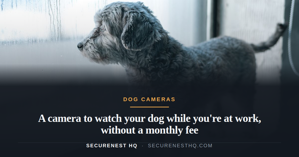 A small, fluffy dog stands at a window, looking out with a curious expression. Overlaid text reads “A camera to watch your dog while you're at work, without a monthly fee” — Secure Nest HQ