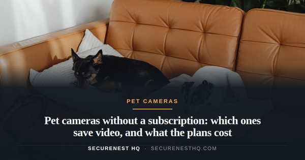 Two adorable dogs relaxing on pillows on a cozy leather sofa indoors. Overlaid text reads “Pet cameras without a subscription: which ones save video, and what the plans cost” — Secure Nest HQ